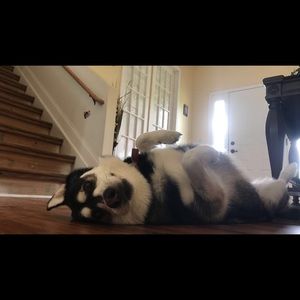 Meet your Posher, Evan